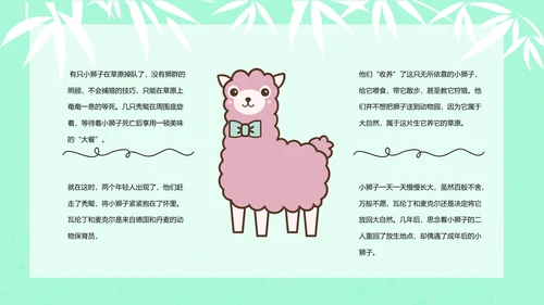 大熊猫国际野生动物保护日PPT模板