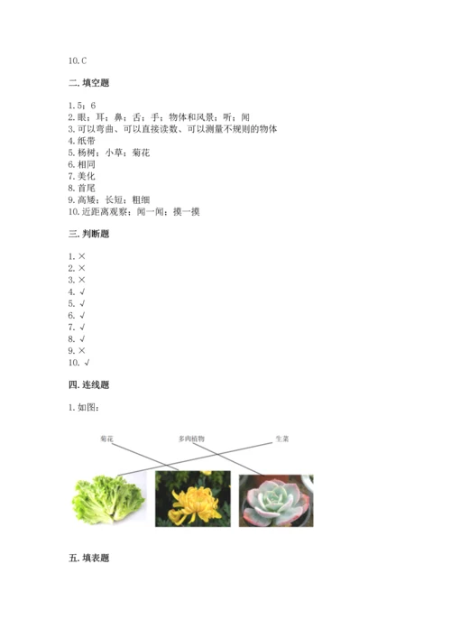 教科版一年级上册科学期末测试卷（全优）word版.docx