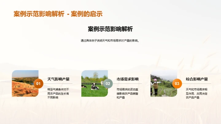 农产品产量分析报告