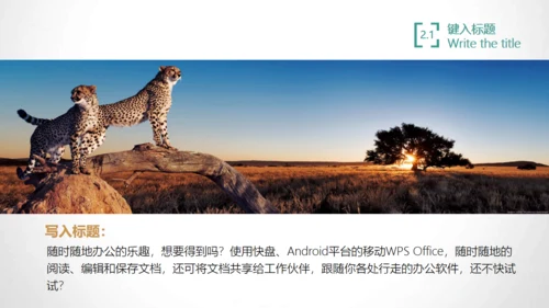 互联网时代通用PPT模板