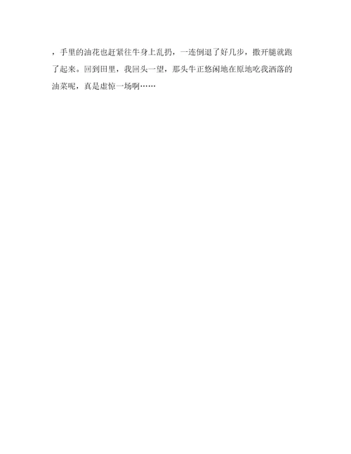 喂牛记五年级作文