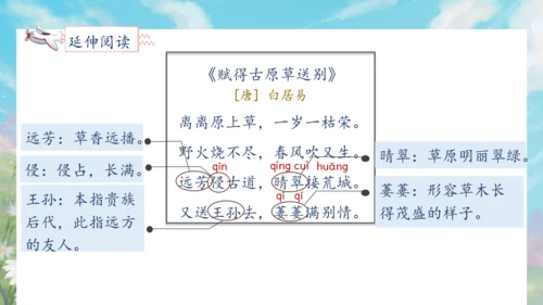 【核心素养】部编版语文二年级下册-语文园地一 第2课时（课件）