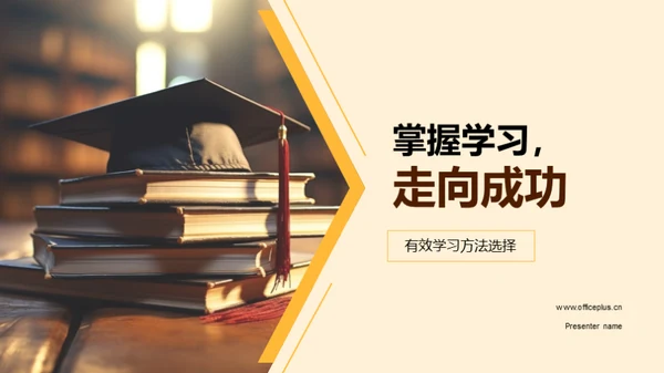 掌握学习，走向成功