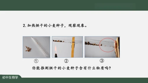 2.1.4  细胞的生活 课件（共26张PPT）
