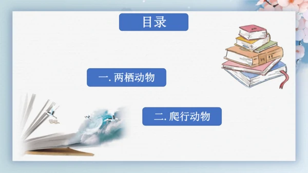 2.2.2脊椎动物（第2课时两栖动物和爬行动物）-七年级生物上册同步优质备课系列（人教版2024新教