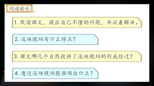 【核心素养】部编版语文四年级下册-5.琥珀 第1课时（课件）
