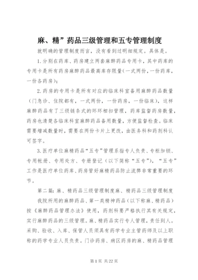 麻、精”药品三级管理和五专管理制度.docx