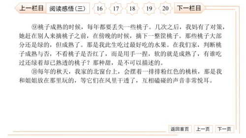 统编版八上语文第二次月考综合检测卷 习题课件（41张PPT）