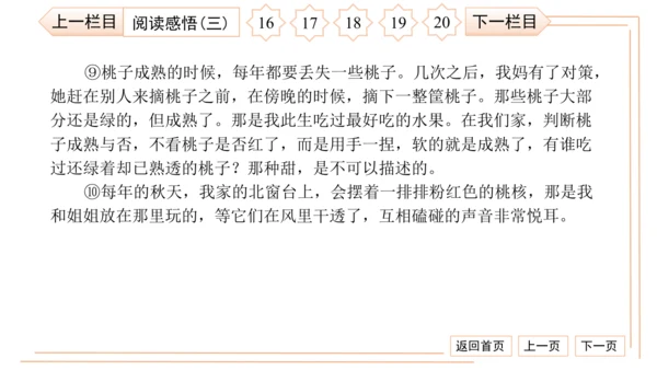 统编版八上语文第二次月考综合检测卷 习题课件（41张PPT）