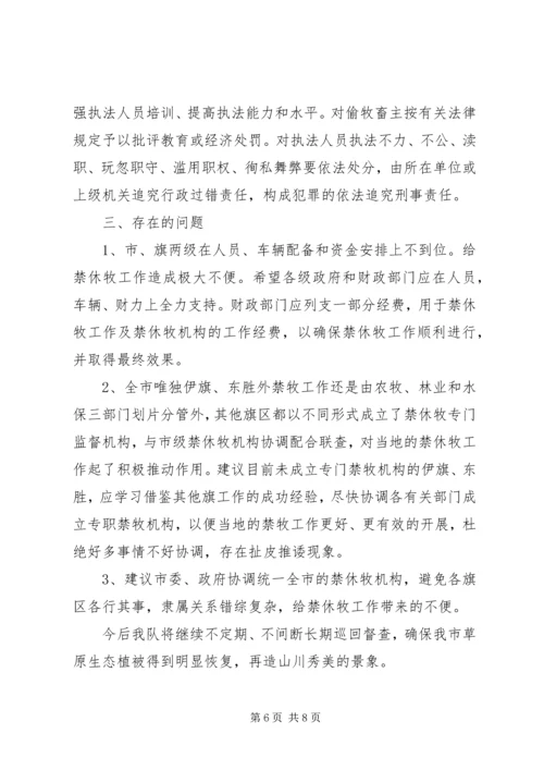 禁牧监察大队工作总结及工作计划.docx