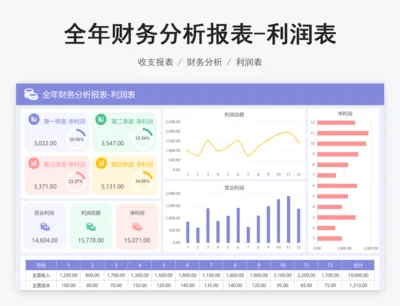 全年财务分析报表-利润表