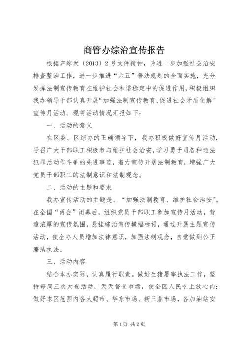 商管办综治宣传报告.docx