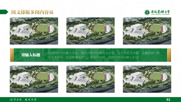 绿金配色安徽医科大学通用PPT模板