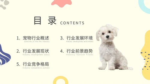 简约实图狗宠物经济行业前景分析报告汇报模板