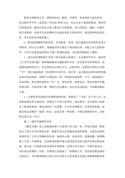 踏雪寻梅教学反思.docx