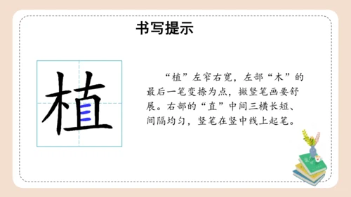 统编版三年级语文下册同步高效课堂系列第二单元《语文园地》（教学课件）