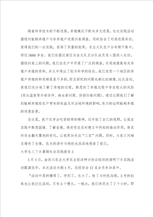 大学生三下乡暑期社会实践报告4篇