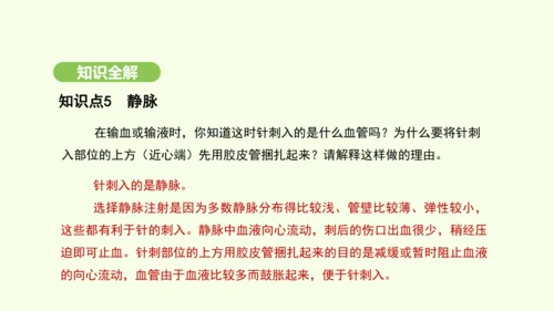 第四单元-第四章-第二节-血流的管道——血管课件-2024-2025学年七年级生物下学期人教版(20