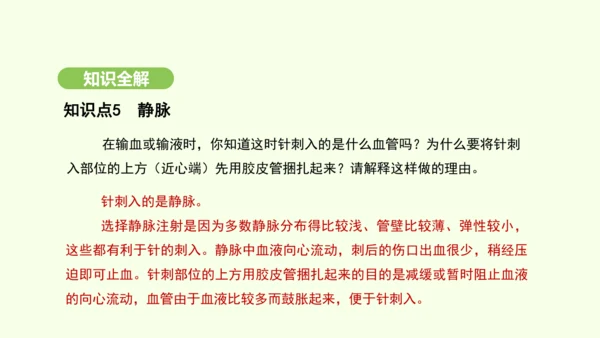 第四单元-第四章-第二节-血流的管道——血管课件-2024-2025学年七年级生物下学期人教版(20