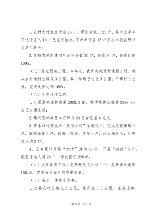 乡镇年度民生工程工作总结报告.docx