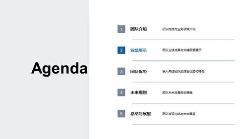 团队实力与规划