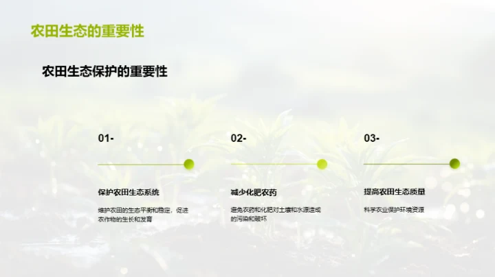 实践谷雨环保农业