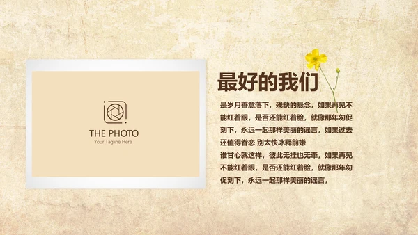 怀旧风格20年同学联谊会PPT模板