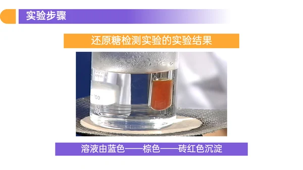 人教版高中生物细胞元素化合物PPT课件