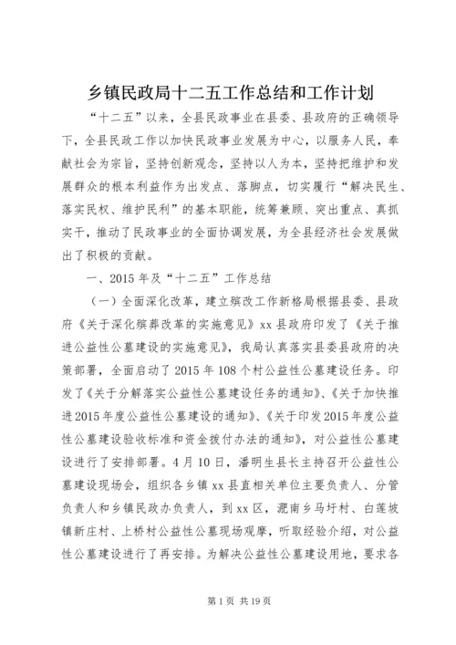 乡镇民政局十二五工作总结和工作计划.docx