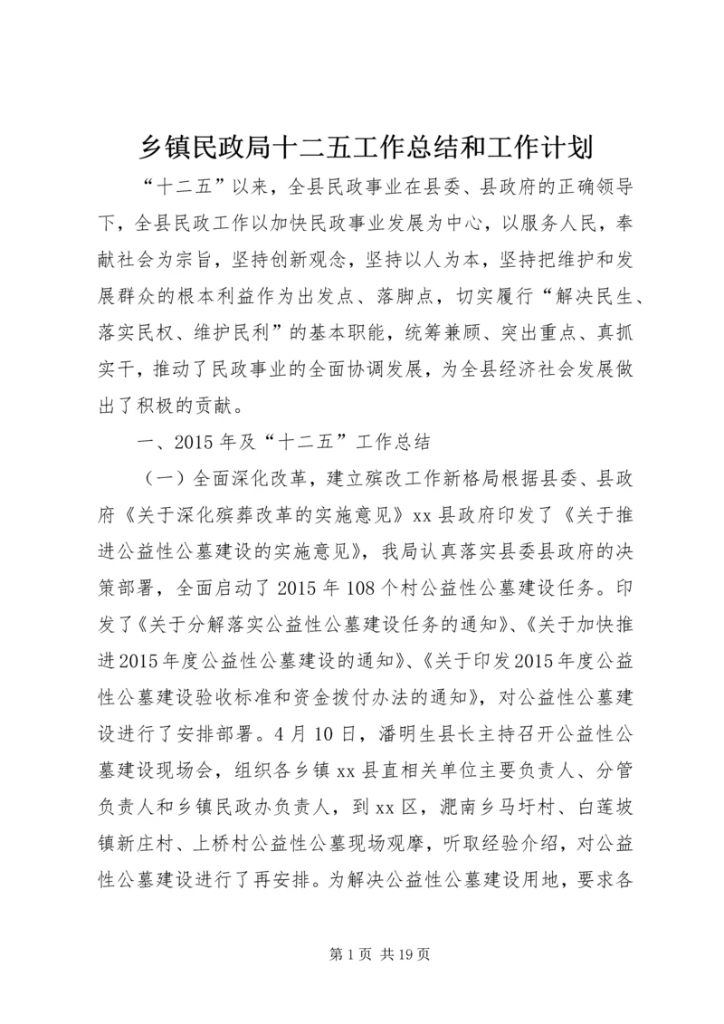 乡镇民政局十二五工作总结和工作计划.docx