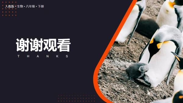 生命起源和生物进化企鹅通用PPT模板