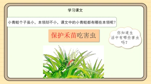 识字3 小青蛙（课件）