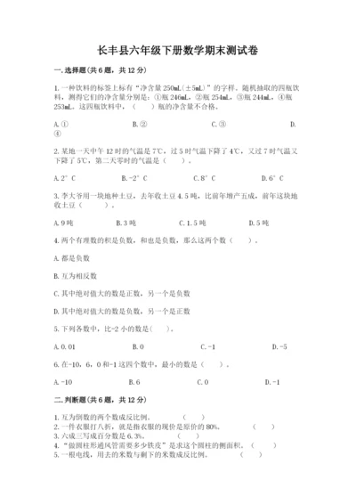 长丰县六年级下册数学期末测试卷必考题.docx