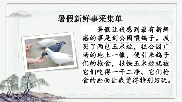 部编版三年级上册语文 口语交际：我的暑假生活 课件
