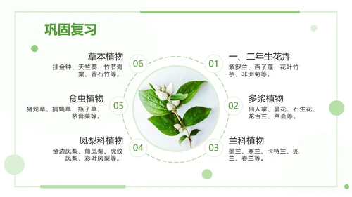 绿色清新教学课件ppt模板