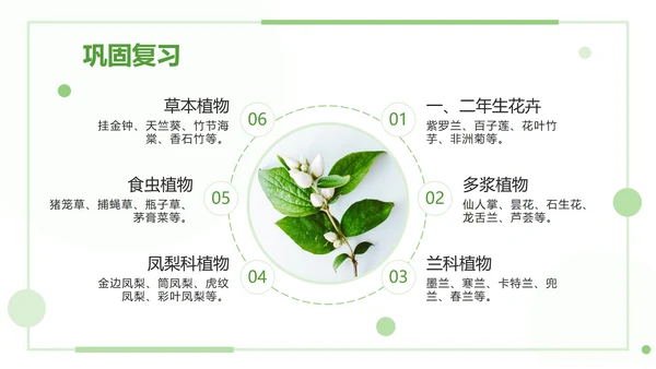 绿色清新教学课件ppt模板
