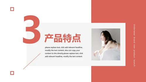 女性内衣品牌产品发布会通用PPT模板