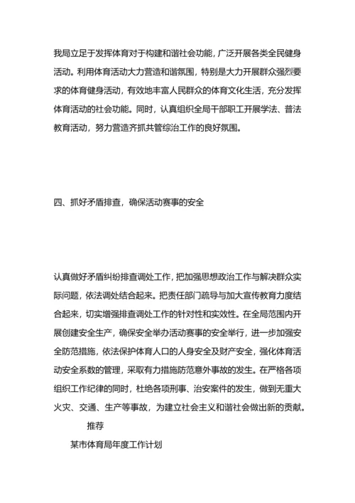 某县体育局年度综治工作计划.docx