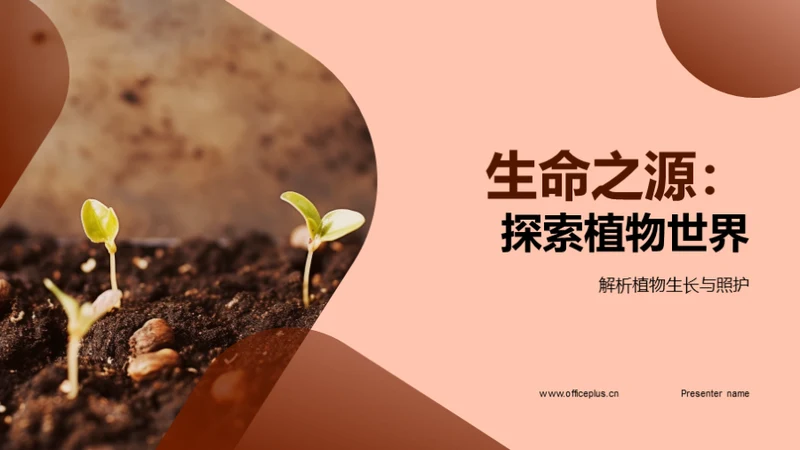 生命之源：探索植物世界