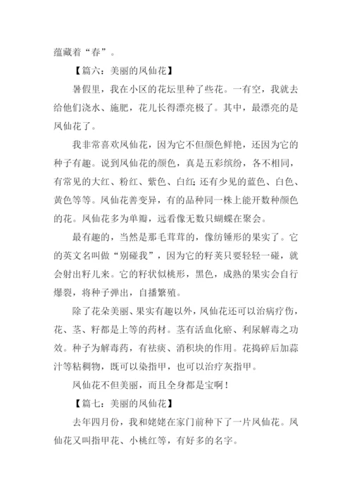 美丽的凤仙花作文.docx