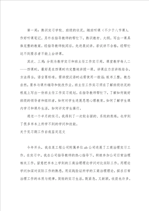 2023关于见习期自我鉴定范文