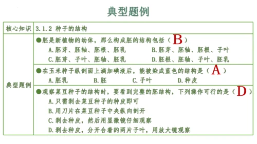 第三单元 植物的生活（单元复习课件）2023-2024学年七年级生物上册同步精品课件（人教版）(共3