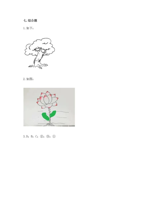 教科版科学一年级上册第一单元《植物》测试卷及参考答案【b卷】.docx