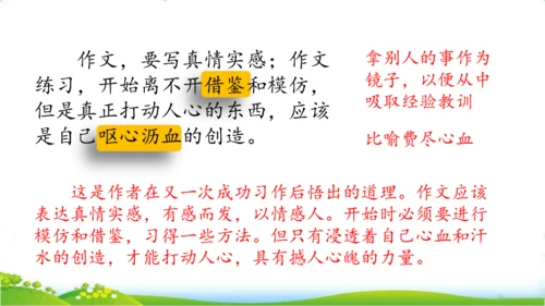 27 我的“长生果“   课件