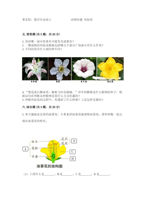 科学四年级下册第一单元《植物的生长变化》测试卷含答案【满分必刷】.docx