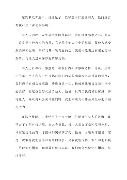 梦境奇遇高人感言