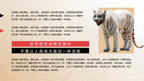 保护野生动物狮子通用PPT模板