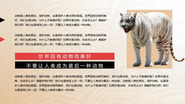 保护野生动物狮子通用PPT模板