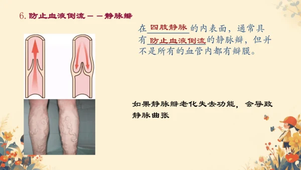 初中生物学[期末专区]七年级下册第四章和第五章复习课件(共39张PPT)