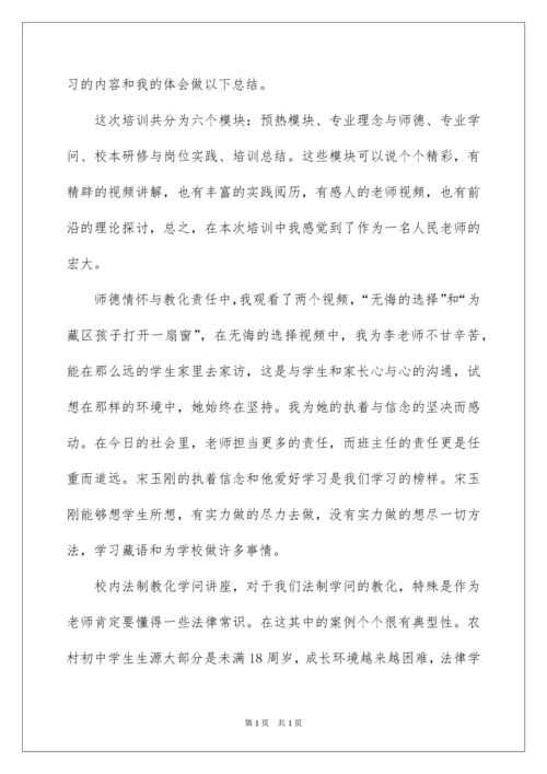 2022国培计划小学班主任培训总结.docx